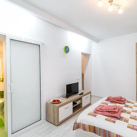 Primaverii Studio Apartment *